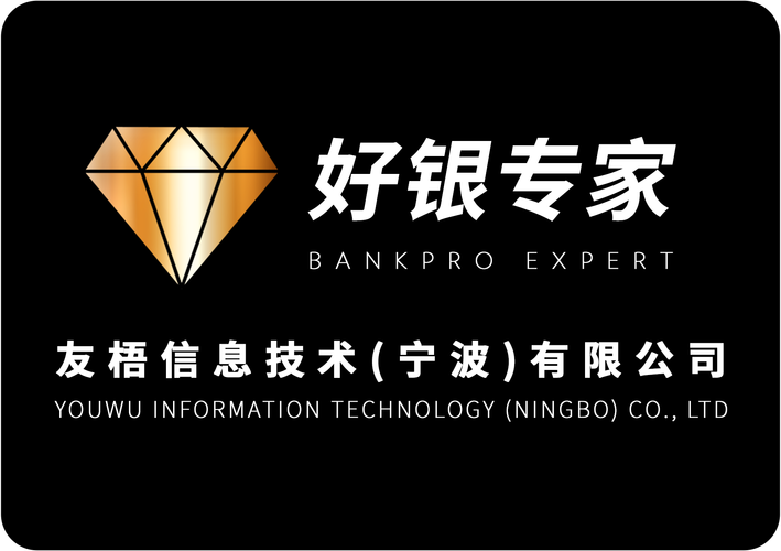 鞠树伟和他的公司 深耕信息技术咨询服务领域